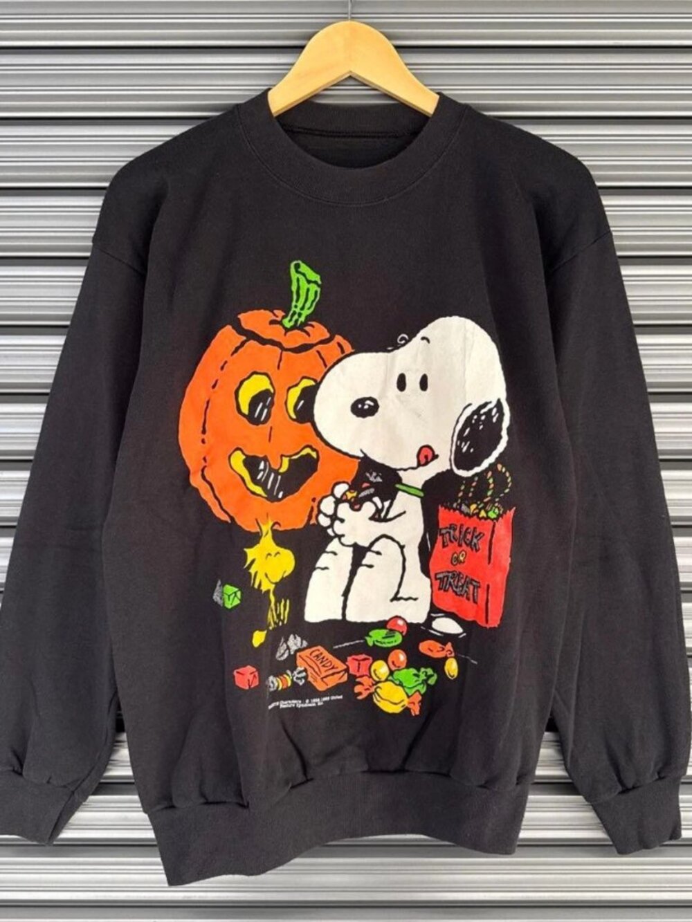 Gildan Black Halloween Snoopy "Trick or Treat" Graphic Crewneck Sweatshirt